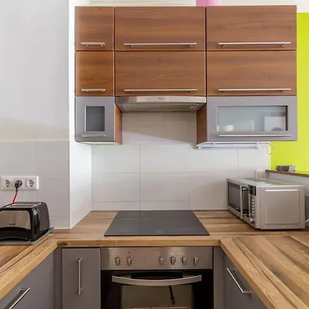 Charming With Quiet Garden In Downtown Apartament *